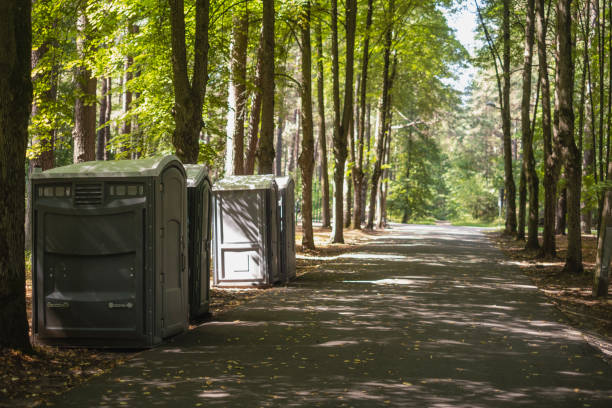 Best Luxury portable toilet rental  in Dryden, MI